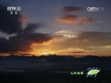 人与自然 《人与自然》 20150107 自然发现：黄石公园——夏季（上）
