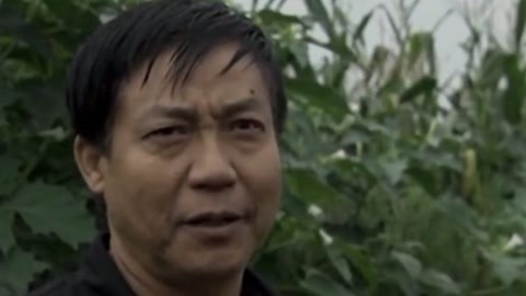 经典传奇 晋阳奇特古墓之谜 古墓椁壁刻的竟全是外国人