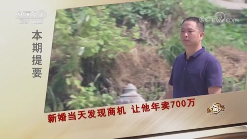 致富经 [致富经]新婚当天发现商机 让他年卖700万 20190705