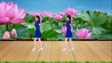 动感DJ广场舞《谁家的姑娘》背面演示+分解