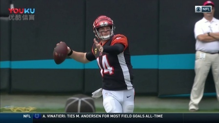 【NFL第3周比赛集锦】猛虎21-31黑豹