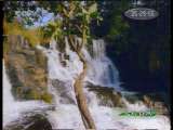 人与自然 人与自然 2009年 第165期 2010-11-21