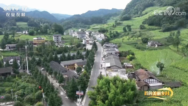 《我的美丽乡村》 20210816 打开山门迎客来
