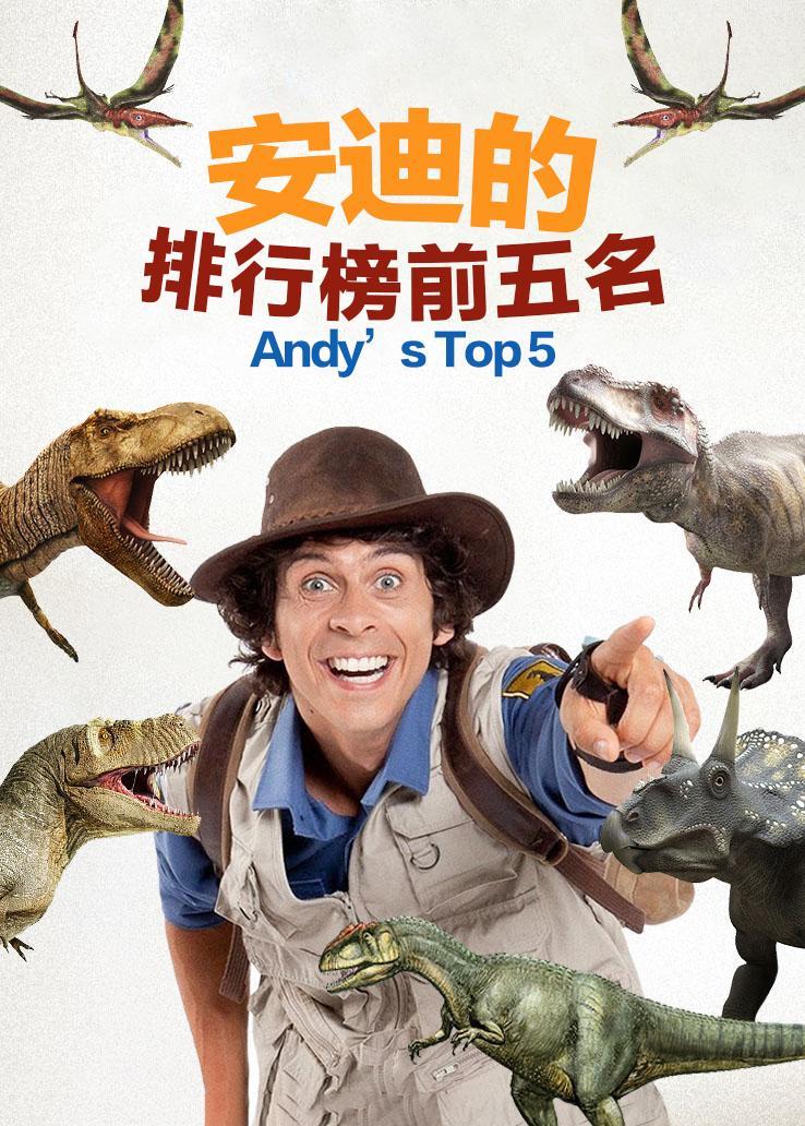 安迪的排行榜前五名