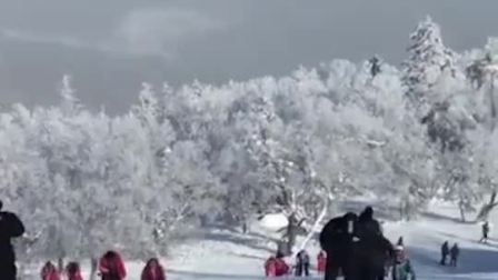 要闻主菜单 导游曝雪乡宰客潜规则