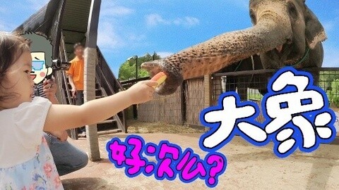 【中国爸爸】日本食玩 我只是想骑大象