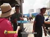 生财有道 《生财有道》 20171214 生态中国系列（沿海行）——海洋生态美 牧场生财忙