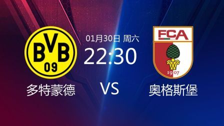 2020-2021德甲联赛第19轮 多特蒙德VS奥格斯堡