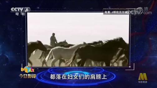 今日影评 《今日影评》 20190826 《呼伦贝尔城》