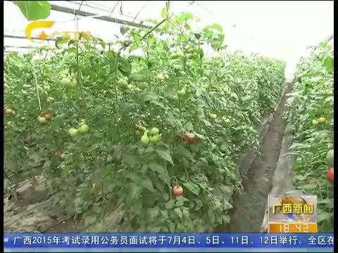 广西新闻 《广西新闻》 20150705
