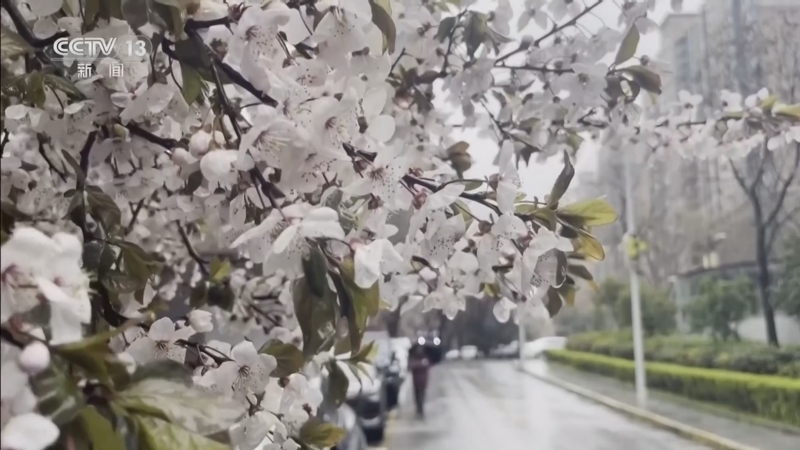 《东方时空》 20260315