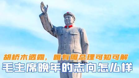 华夏史录 毛主席晚年的志向怎么样？胡桥木透露，唯有周总理可知可解