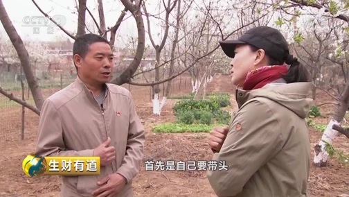 生财有道 《生财有道》 20190426 咱们家乡春天美 河南义马：另辟蹊径迎春来