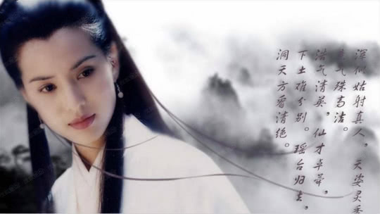 鲁豫有约 李若彤·逆境后重绽