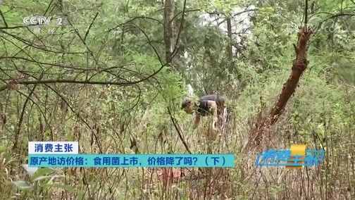 消费主张 《消费主张》 20200713 原产地访价格：食用菌上市，价格降了吗？（下）