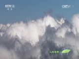 人与自然 《人与自然》 20150718 自然故事：埃塞俄比亚狼（下）