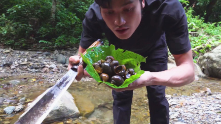 小溪流田螺太肥了，野外直接用竹筒炖，味道好极了