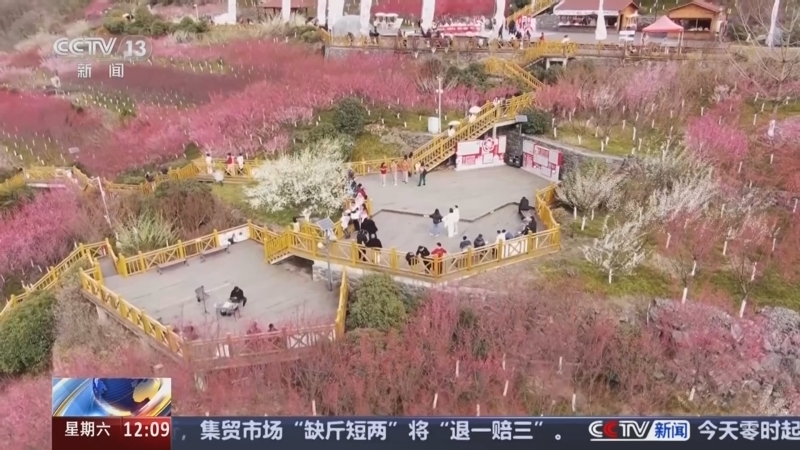 新闻30分 《新闻30分》 20250301