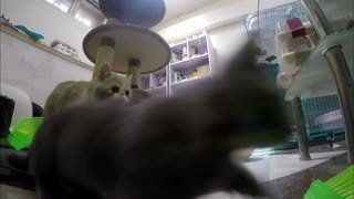 生活改造家 生活改造家_1