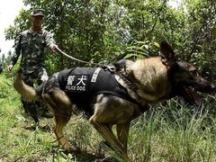 传奇故事2019 突然死亡的关键人物