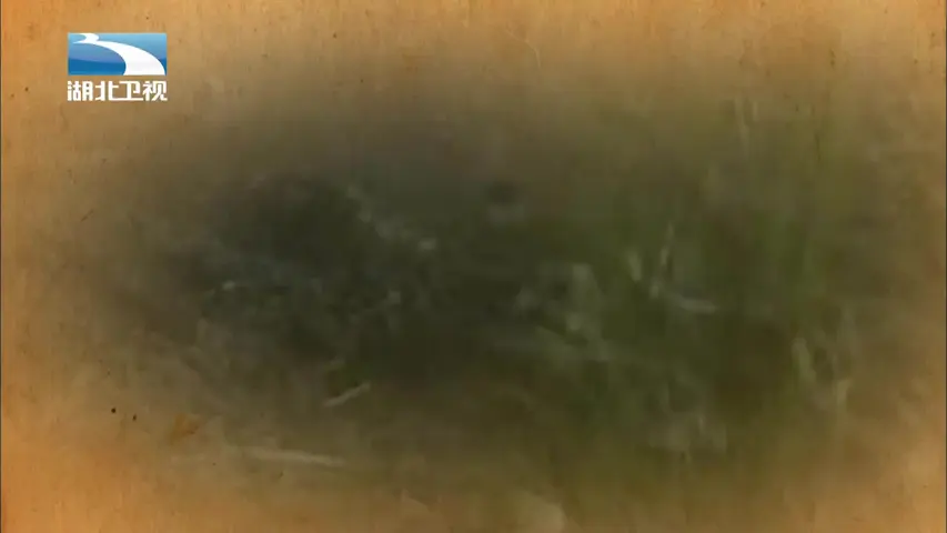 伟大长征 《伟大长征》第7集