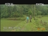 远方的家 百山百川行 第八十三集 秦岭 朱鹮起舞 水润平川《远方的家》 20130827