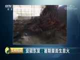 生财有道 《生财有道》 20180810 安徽东至：暑期里面生意火