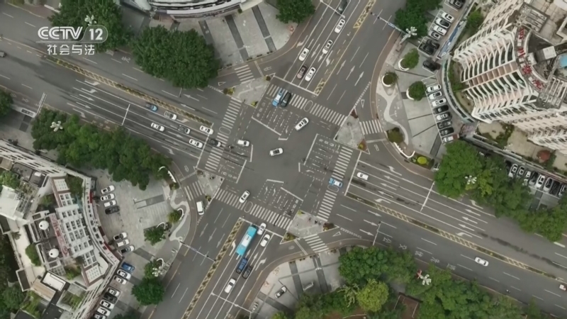 《现场》 20260131 “借腹生子”之谜