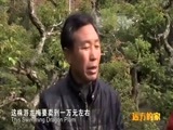 远方的家 《远方的家》江河万里行 第268集 钱塘江 新安江畔古韵长 20150527