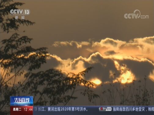 法治在线 《法治在线》 20200818