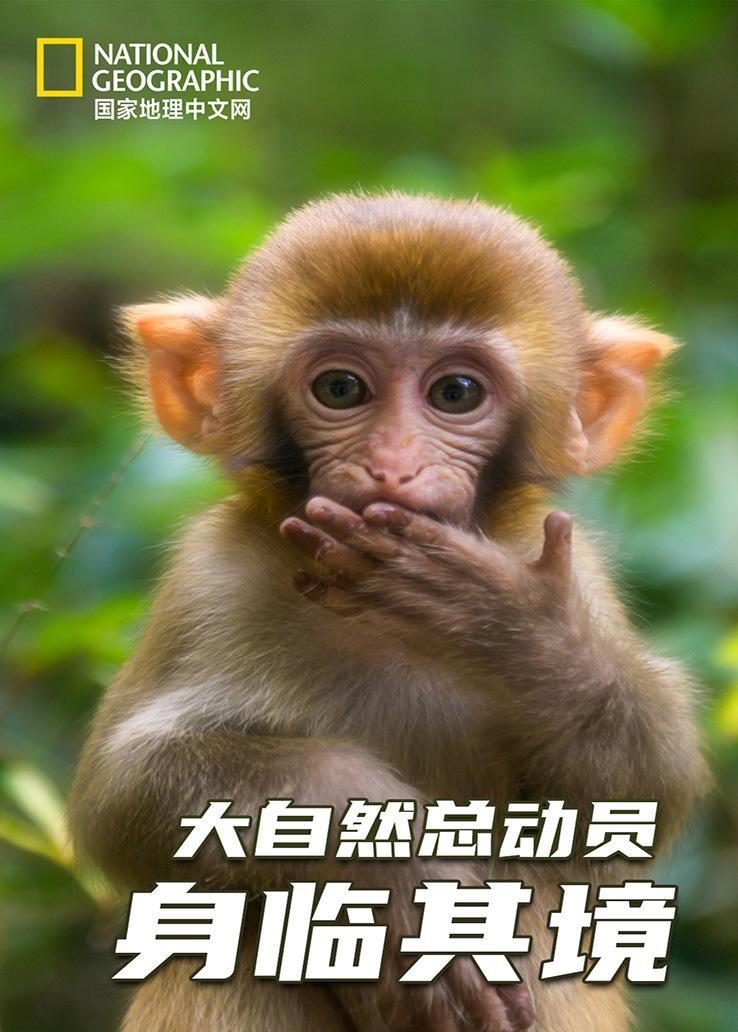 国家地理：大自然总动员之身临其境