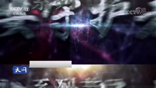 天网 《天网》 20190308 平安守护者·庄严的承诺