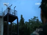 军事纪实 《军事纪实》 20160701 庆祝建党95周年特别节目 护港利剑——揭秘驻香港部队特战连（下）