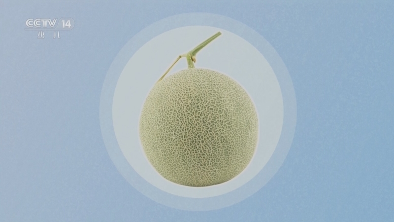 智慧树 《智慧树》 20230323