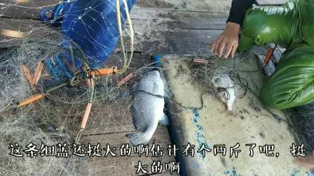 南澳岛赶海日记 潮汕小伙外海捕鱼放下3000米网，收获都是大海货，一天赚了好几千