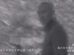 蒋介石和他的高官们 蒋介石和他的高官们：胡宗南（下）