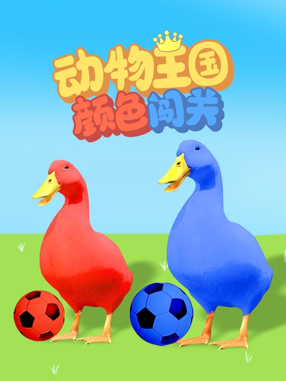 动物王国颜色闯关