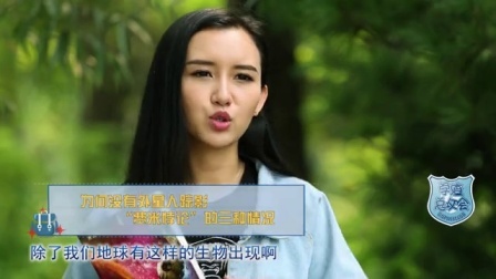 学渣总攻会 第一季 《三体》:宇宙终将被人性毁灭