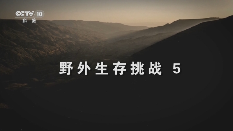 自然传奇 《自然传奇》 20260125 野外生存挑战 5