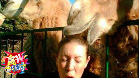 高兴就好 惨！惹恼暴力萌宠的下场