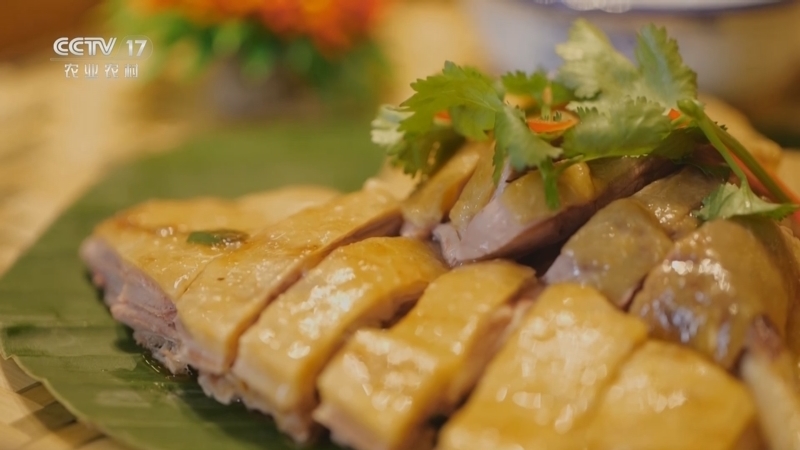 《谁知盘中餐》 20251201 丰收来敲门 奇鸡新风味