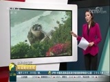 环球经济连线 《环球财经连线》 20171021