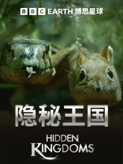 隐秘王国（中配版）