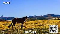 超级脱口 旅行身累心更累 不买东西导游发飙 都来聊聊自己最心塞的跟团游