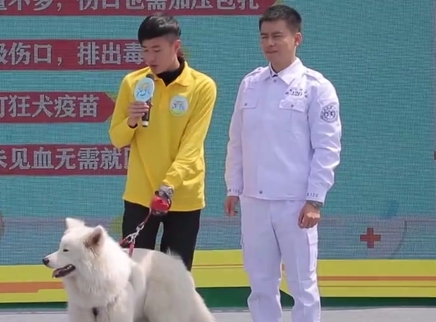 新闻大求真 被狗咬如何处理？