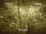 地理中国 《地理中国》 20140117 探秘无量山 （上）