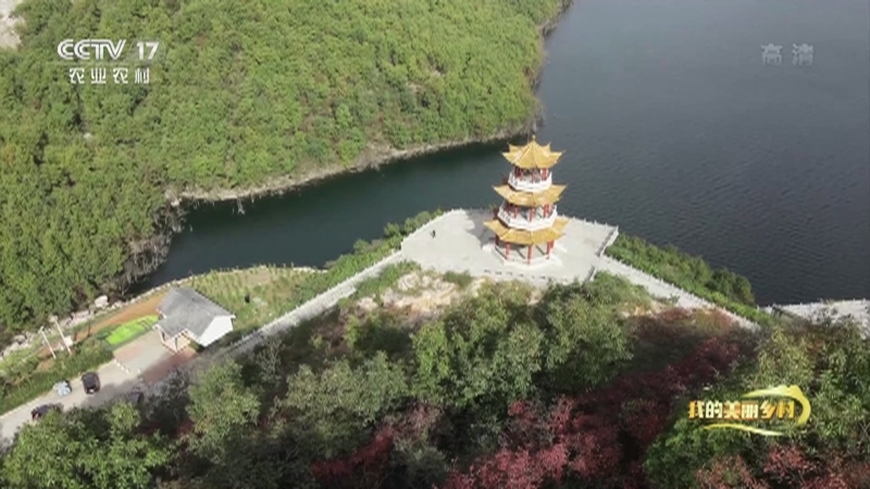 《我的美丽乡村》 20210202 丹江水畔橘子红