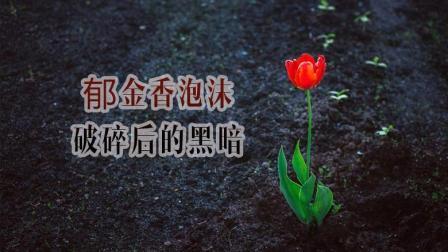 郁金香泡沫破碎后的黑暗