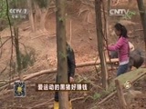 致富经 《致富经》 20160120 爱运动的黑猪好赚钱