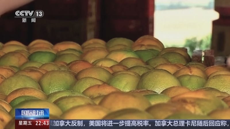 国际时讯 《国际时讯》 20250711